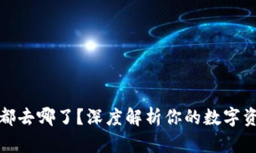 TP钱包的币都去哪了？深度解析你的数字资产安全问题