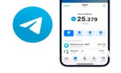 如何有效减少TP钱包手续费，省钱妙招