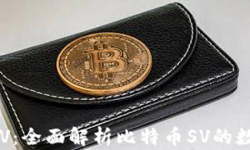 
TP钱包与BSV：全面解析比特币SV的数字货币钱包