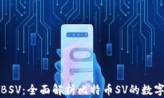 TP钱包与BSV：全面解析比特币SV的数字