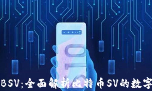 
TP钱包与BSV：全面解析比特币SV的数字货币钱包