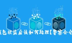 : TP钱包被盗后该如何处理？警察会介