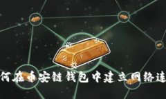 如何在币安链钱包中建立网络连接