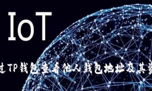 如何通过TP钱包查看他人钱包地址及其资产信息