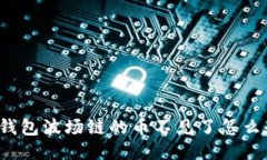 TP钱包波场链的币不见了怎么办？