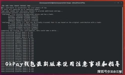 OkPay钱包最新版本使用注意事项和指导