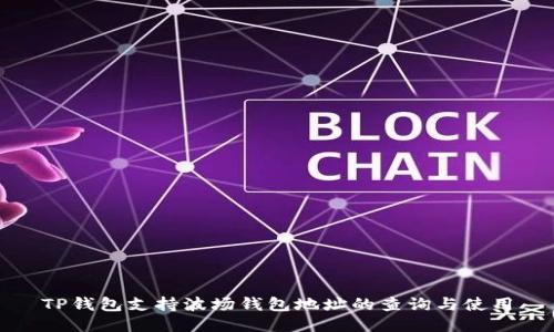 TP钱包支持波场钱包地址的查询与使用