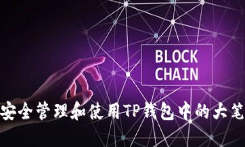 如何安全管理和使用TP钱包中的大笔资金
